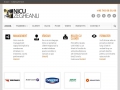 workshop cu Nicu Zegheanu