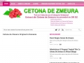 Cetona de Zmeura