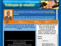 Idei de afaceri online profitabile