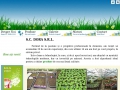 ProducÈ›ie de flori pentru balcon, terasÄƒ È™i grÄƒdin�