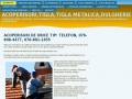 www.acoperisuribune.ro