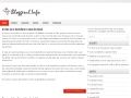 Bloggerul - Un blog cu calitate