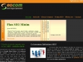 Seocom.ro - Ghid optimizare seo