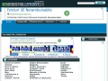 SEO Director