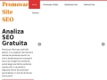 Promovare Site, Optimizare SEO