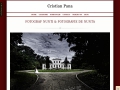 Fotograf profesionist nunta Cristian Pana