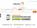 Calificative acordate profesionistilor