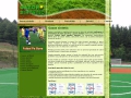 Gazon Artificial -  Gazon Sintetic