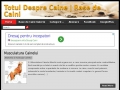 Totul Despre Cainele Tau