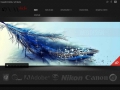 SVM STUDIO Cea mai mare gama de servicii Business Class din Roman