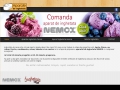 Retete inghetata de casa Nemox