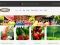 Rawpedia - portalul tau raw-food. Utile, retete, magazin online