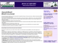 Avocat Divort - divort in Romania