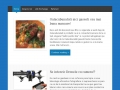 Blogreflex.ro Stiri, opini, asistenta si dezbateri online