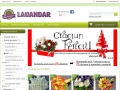 Lavandar - Florarie Online