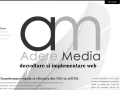 Dezvoltare si implementare web