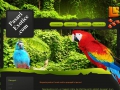 Pasari Exotice Online