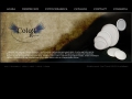 Color IT Invest - Fotoceramica, placi ceramice