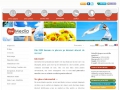 DOW MEDIA - Web design Timisoara, Web Hosting