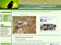 Animale Salbatice din Romania . Pasari . Poze . Imagini