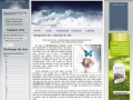 Interpretarea viselor