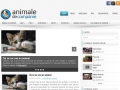 Animale de companie