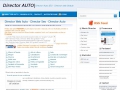 Director Auto