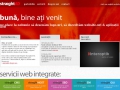 Creare pagini web Timisoara
