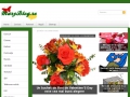 MaryBlog.ro