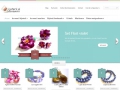 Bijuterii si accesorii