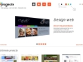 Progecto Cluj-Napoca - Web design. Servi